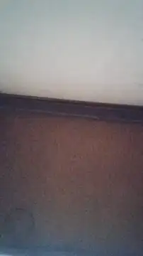 TuFlapito's cam snapshot