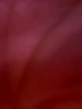 izanmiller2001 live sex cam