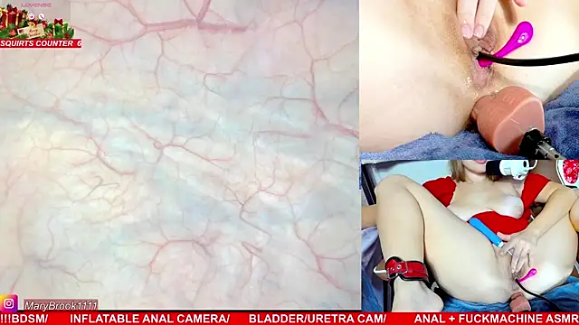 MaryBrook1 live sex cam