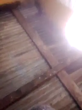 HornyAss_Bitch live sex cam