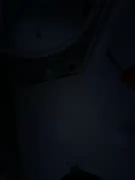 FlowersinEunoia's cam snapshot