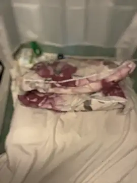 Anal_Top live sex cam