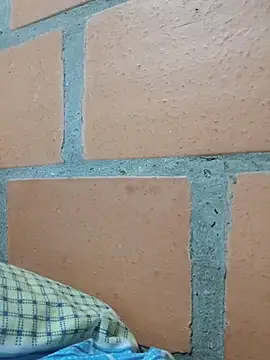 Brenfe1's cam snapshot