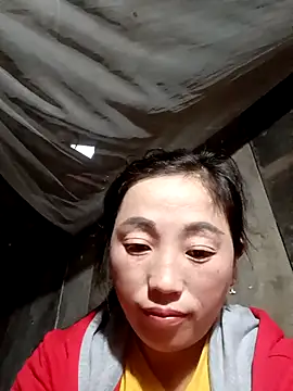 seacyre's cam snapshot