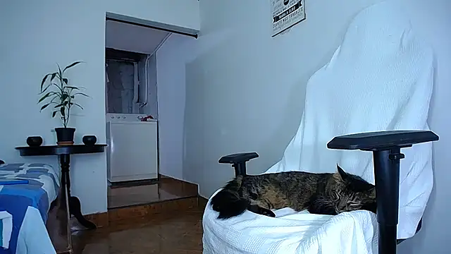 diamond_black00 live sex cam