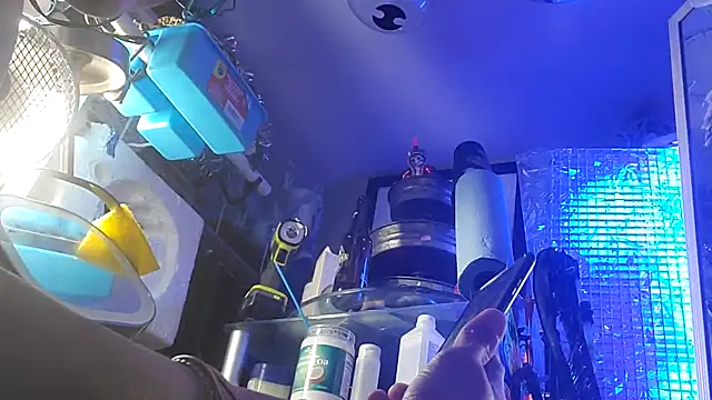 gurlnips live sex cam