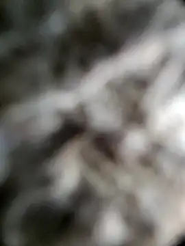 Loveyou8sexy live sex cam