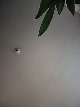 ShelbyHagen live sex cam