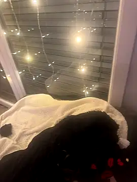 Joanachupa's cam snapshot