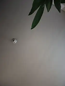 ShelbyHagen's cam snapshot