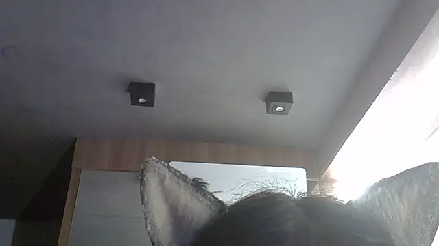 SkinnyKitten live sex cam