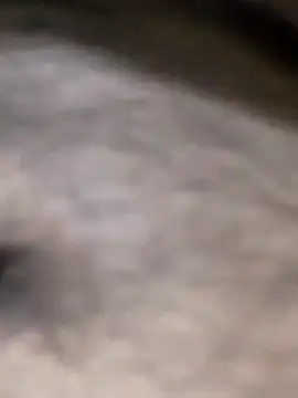 delhi_gigolo_5in's cam snapshot