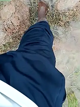 dolphiinn's cam snapshot