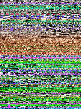 Milky-milk's cam snapshot