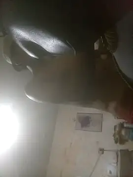 Bebicho14 live sex cam