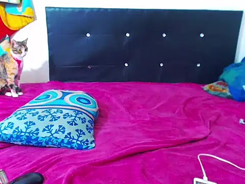 The_wickles_4443 live sex cam