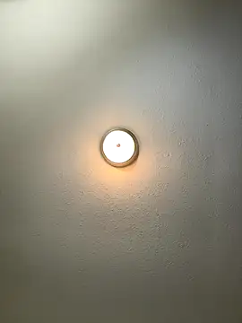 anniemarie356 live sex cam