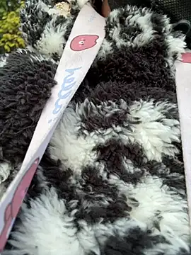 daaqnn's cam snapshot