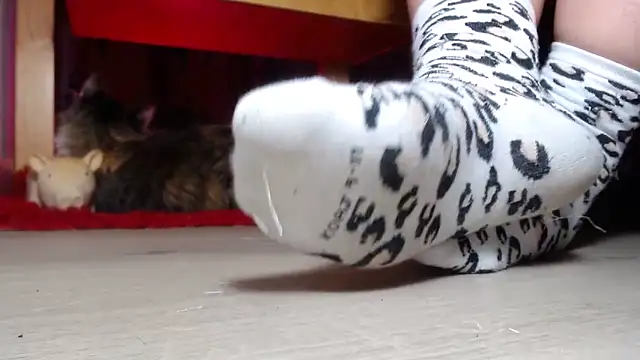 yourmajesty's cam snapshot