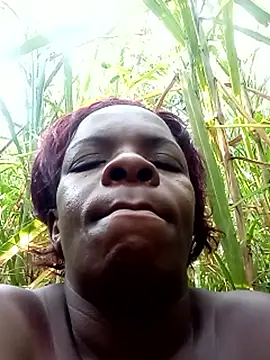 stable_23's cam snapshot