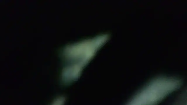 ILOVEhairywoman live sex cam