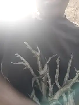 holygrail001's cam snapshot