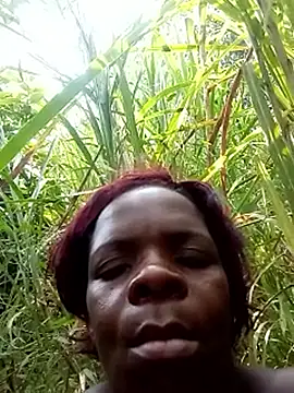 stable_23's cam snapshot