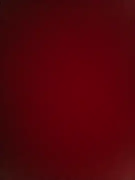 Fox_Roxxan's cam snapshot