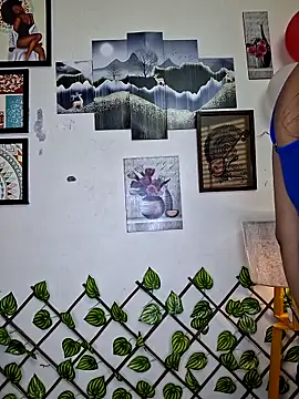 Noor-Bold's cam snapshot