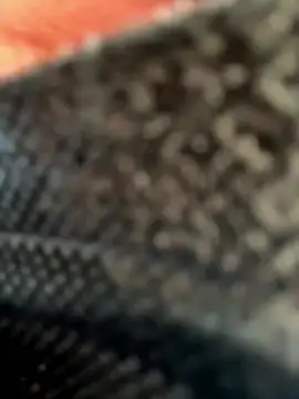 daaqnn's cam snapshot