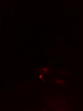 Maxvibes212 live sex cam