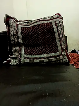 NOOR-PARI's cam snapshot