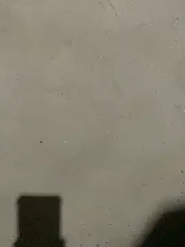 Aninej02's cam snapshot