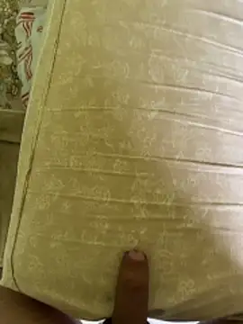 StepEvy's cam snapshot