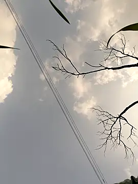 Wildlife_With_devil_89's cam snapshot