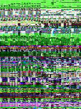 AuroraBrow's cam snapshot