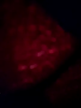 sana14's cam snapshot