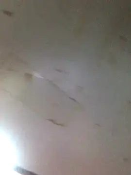 missayang6969's cam snapshot