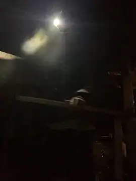 NhuFox's cam snapshot