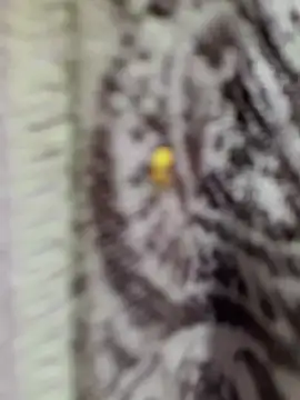 Kanchan7909's cam snapshot