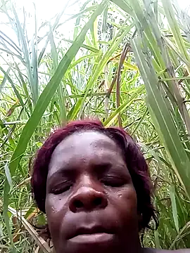 stable_23's cam snapshot