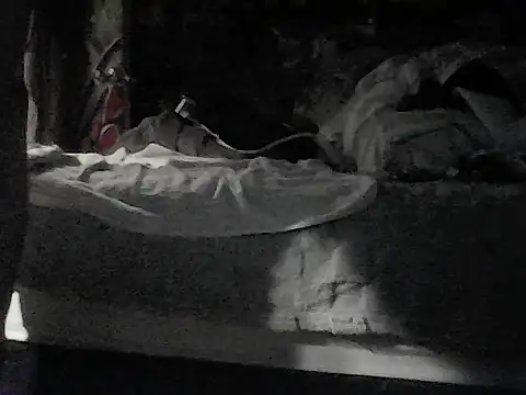 Twoslipperywhenwett's cam snapshot