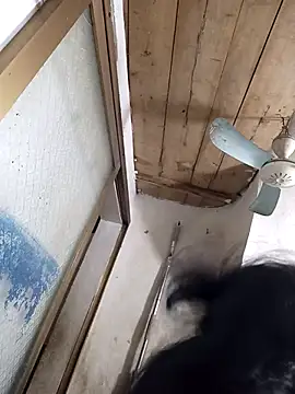 Hotestlove live sex cam