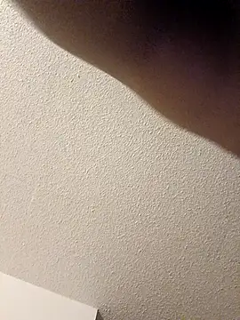 ReallyReallyReal's cam snapshot