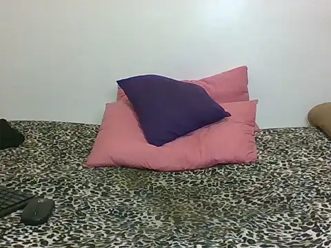 Cessylolla's cam snapshot