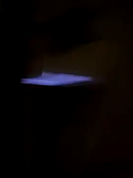 djcarey369159 live sex cam