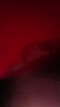 BiggerDickGuy live sex cam