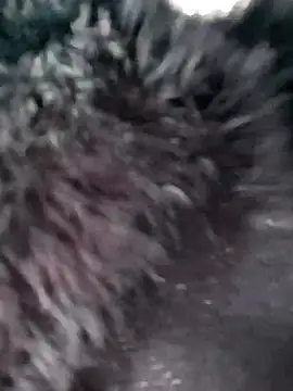 Ruhi_07's cam snapshot