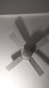 Shoreguy69 live sex cam