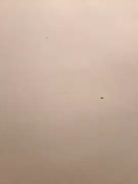 Giorgio_BD_Live's cam snapshot